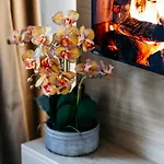 Apartment Elma - Old Town, Piata Unirii *